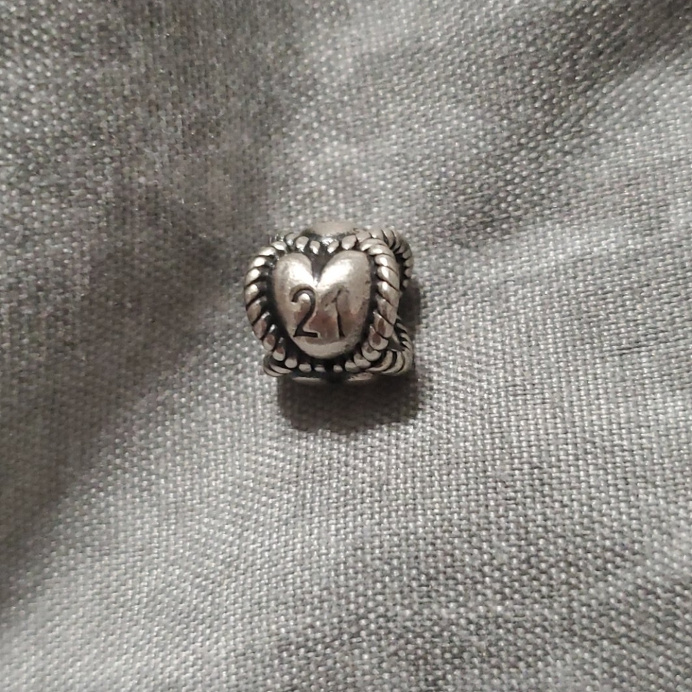Pandora Bracelet Charm